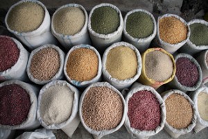 High prices of cereals pushed the numbers of undernourished up Manoocher Deghati IRIN