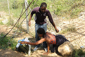 Economic migrants crawl under the border fence into South Africa from Zimbabwe