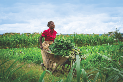 MasterCard Africa Youth in Green Revolution